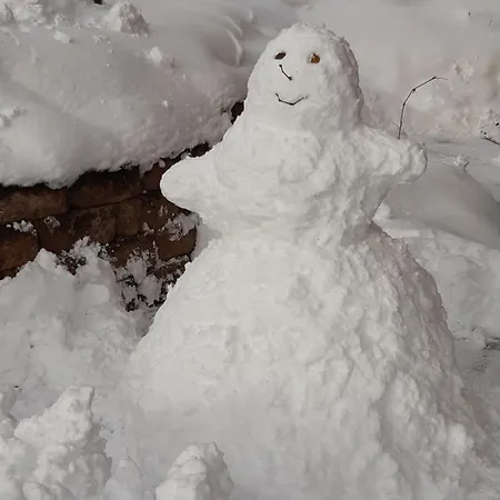 Апартаменты Lechnerhof *