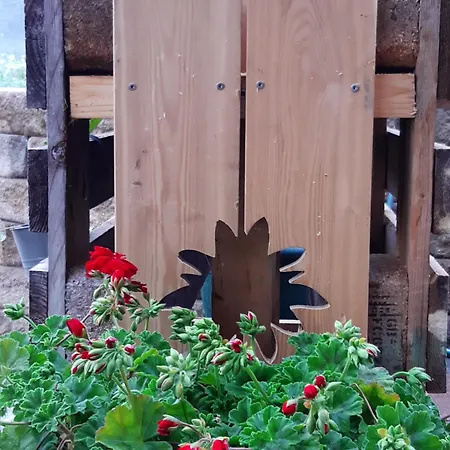 Lechnerhof Апартаменты Шладминг