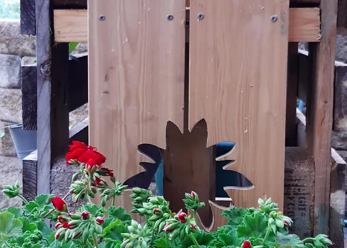 Lechnerhof Daire Schladming