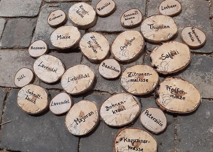 Lechnerhof Apartment