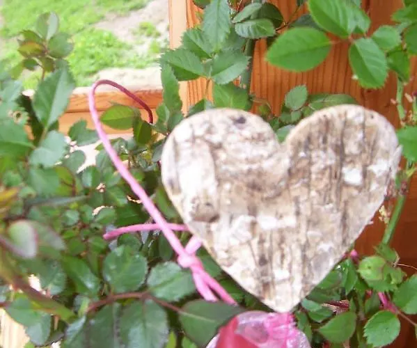 Lechnerhof Apartment Schladming